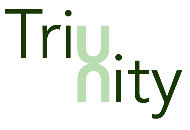 triunityapac-jp.com